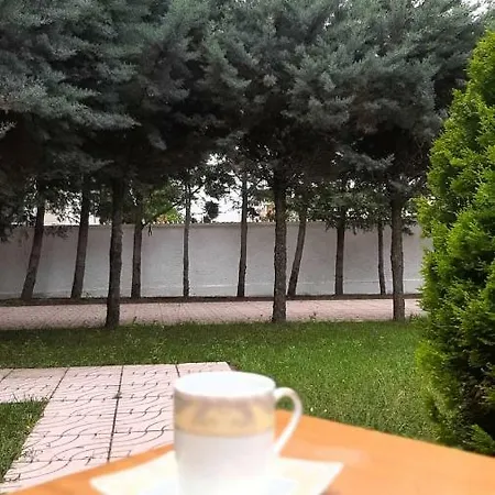 3 Shqiponjat 4* Велипойе